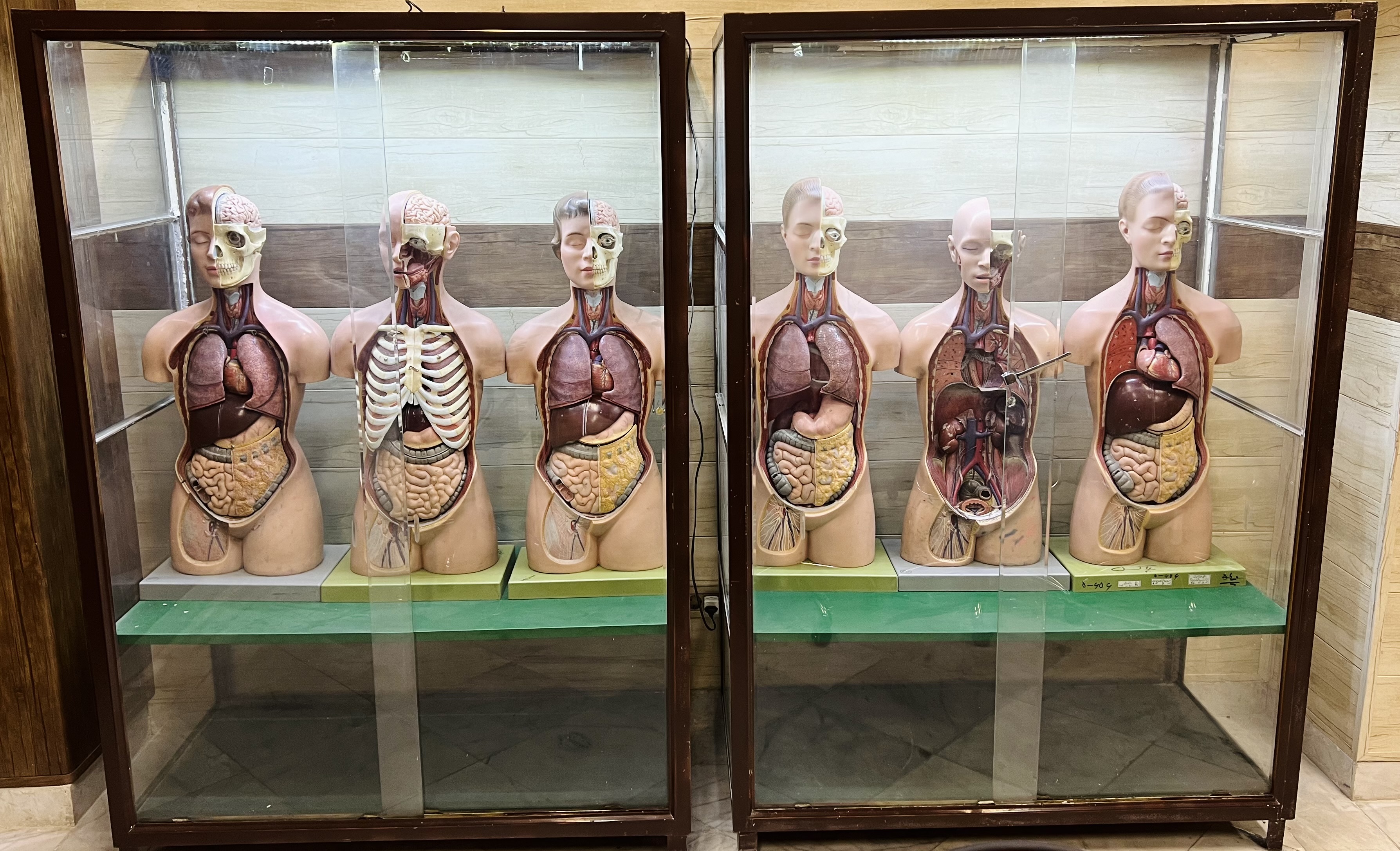 IMG_6806.jpeg - 2.24 MB